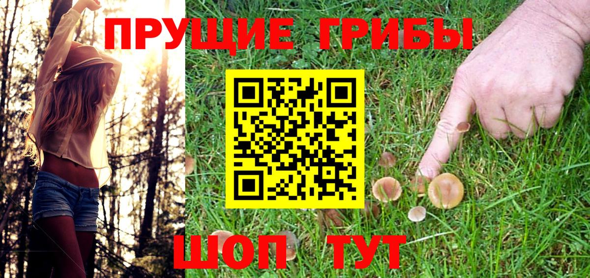 Галлюциногенные грибы ЛСД Бор