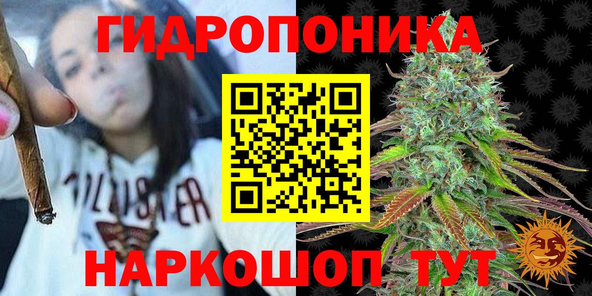 Канабис гибрид Бор